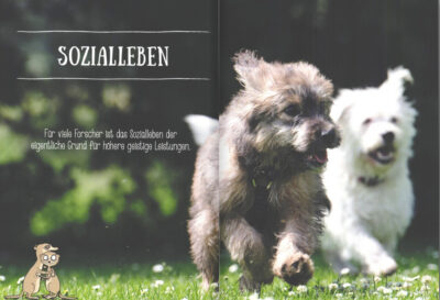 Wie-Tiere-denken-Blick2
