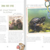 Wie-Tiere-denken-Blick3